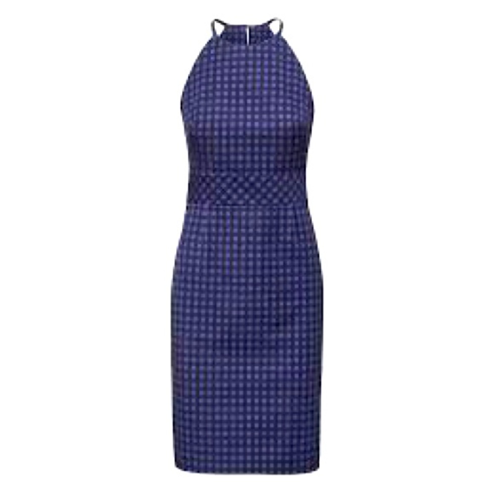 Denim Banana Republic Gingham Dress